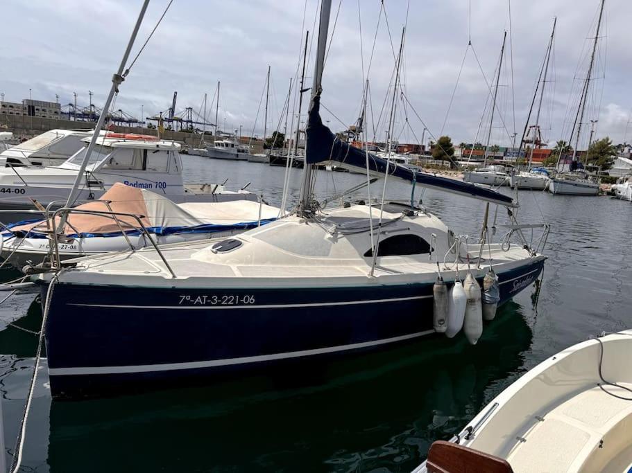 فندق Marine Dream فالنسيا المظهر الخارجي الصورة